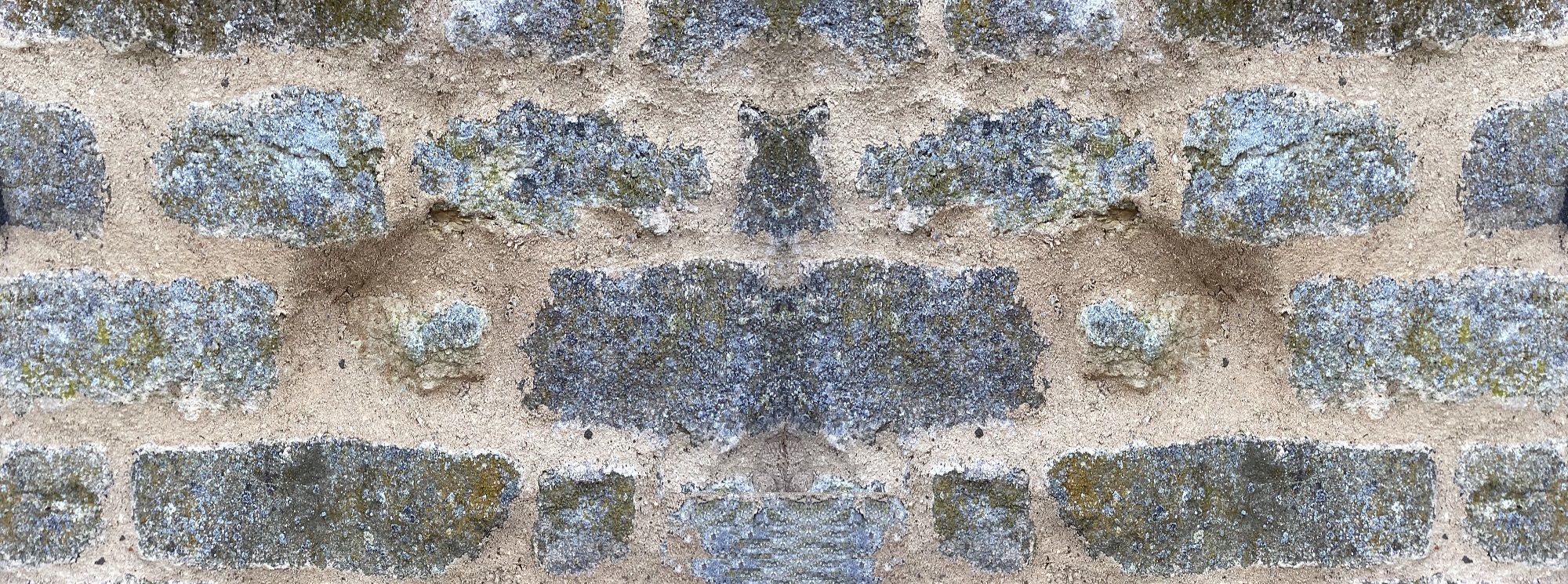 Foundation-1